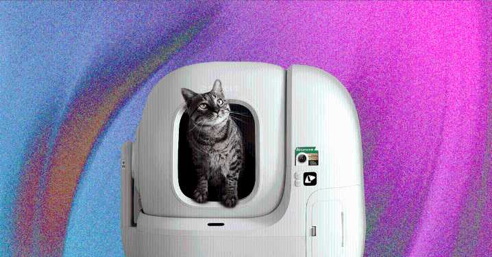 Treat Yourself (and Your Cat) With the Best Automatic Litter Boxes