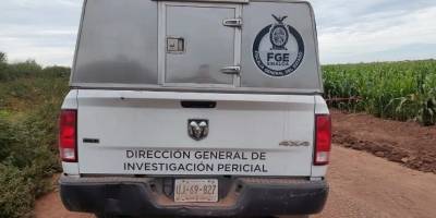 Un hombre de la tercera edad es encontra…