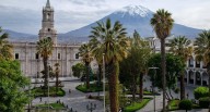 PICO TV · El Búho en la Ciudad Blanca