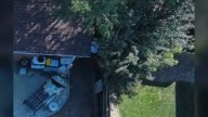 Truck theft suspect arrested after allegedly fleeing, hiding in backyard of Arvada home