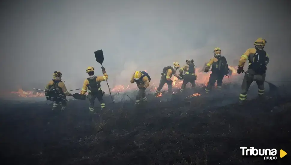Aprobado el reconocimiento de la figura del bombero forestal y el establecimiento de un operativo público y permanente