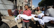 Almost 300 reportedly killed in Gaza in 3 days since global experts accused Israel of genocide