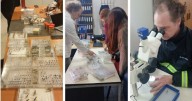 El Laboratorio de Plagas frutícolas de Patagonia Norte se sumó a la Red Nacional