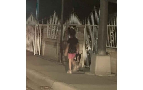 Deambulaba niña de 4 de madrugada con su perro