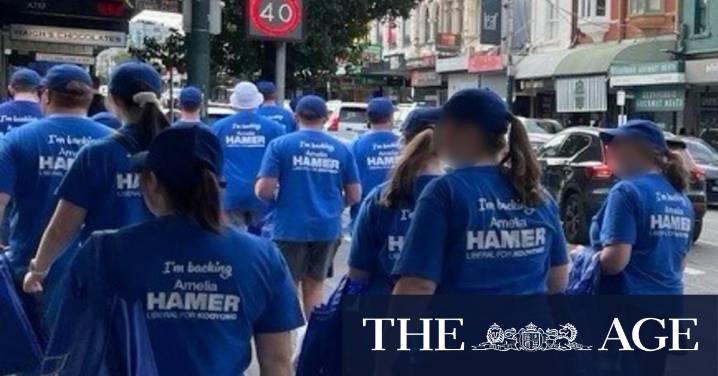 Brethren Liberal Party: Liberal campaigners feared Brethren influence in 2025 election