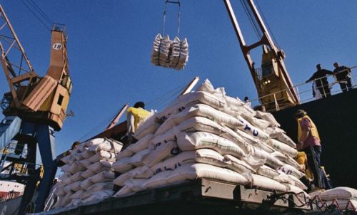 Incremento en las exportaciones de los principales polos productivos de relevancia en Corrientes