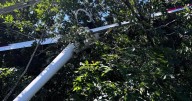 Glider pilot rescued with bucket truck after crashing into trees
