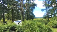 What's coming at Meadow Muffin Farm? Cannabis, if Elk agrees