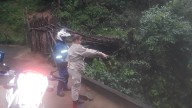 Cierran temporalmente el paso de vehículos por crecida de río en Ocumare de la Costa tras fuertes lluvias (+Video)
