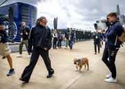 Lewis Hamilton Posts Worrying Health Update About His Bulldog Roscoe