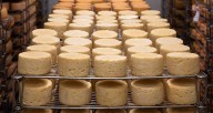 Inundaciones en Barinas disparan el precio del queso llanero