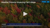 Weather Patterns Impacting Fall Foliage