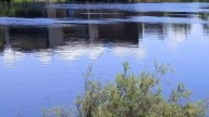 Detectan mancha aceitosa en la Laguna del Camarón; Profepa ya investiga