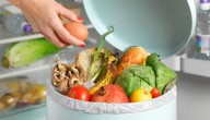 Alimentos a la basura: hogares chilenos desperdician hasta $300 mil al año