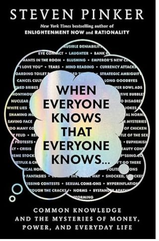 The Social Functions Of Common Knowledge