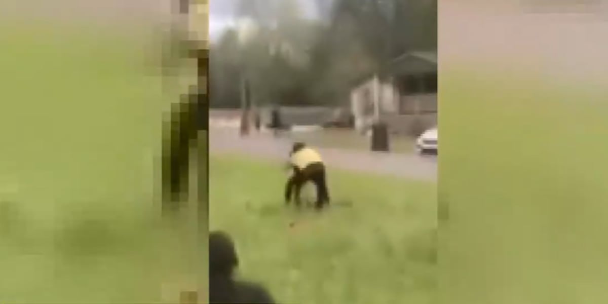 Lipscomb Police: Teenage sisters previously arrested accused of another fight