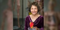 Body Works Exhibit Coming to MUN’s School of Medicine this Weekend