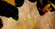 October set for warm start