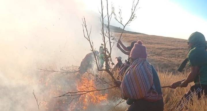 Incendio forestal afecta dos distritos en Huancayo