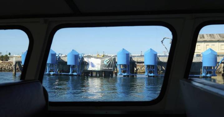 In LA port, bobbing blue floats are turning wave power into clean energy