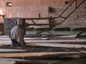 Se vendió Celulosa Argentina que también controla la forestadora Tapebicuá