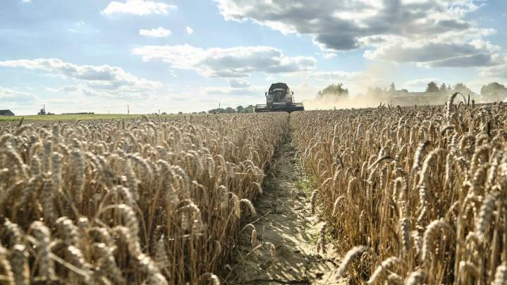 Reimaginar la agricultura para los jóvenes