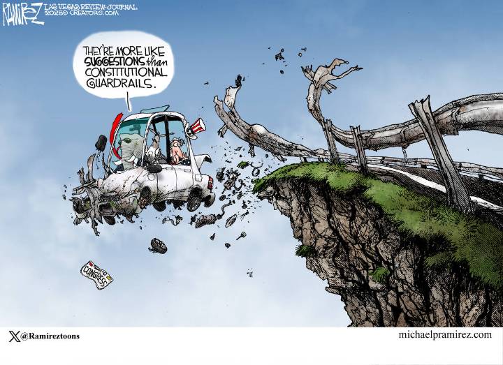 CARTOON: Congressional oversight?