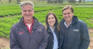 BASF breakthrough: new crop protection trials in Dungowan