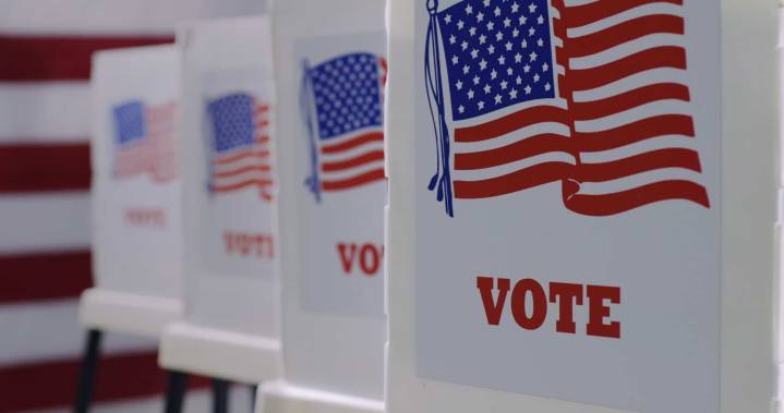 Former Georgia Poll Worker Gets 20 Months in Jail For Bomb Threat