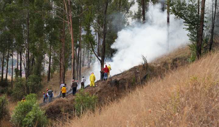 SERFOR refuerza acciones para prevenir incendios forestales y restaurar ecosistemas en la Amazonía