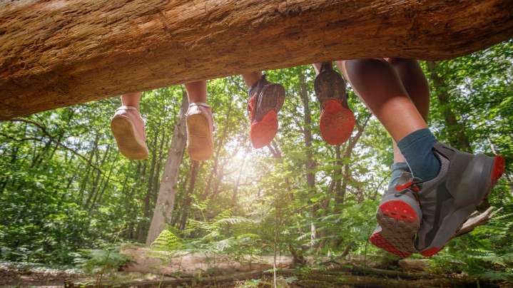 La Ertzaintza investigaba desde enero «agresiones sexuales» a tres menores en el campamento de Bernedo