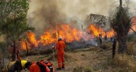 Alerta por riesgo extremo de incendios forestales en todo el norte argentino