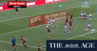 Panthers 'perfection' on full display