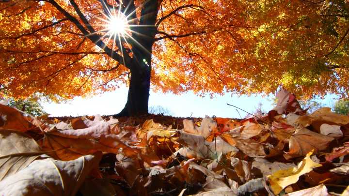Fall in Florida has started, sort of. See dates, weather forecasts