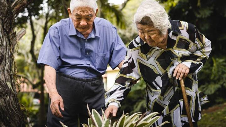 ¡Larga vida! Japón rompe récord histórico: casi 100.000 personas superan el siglo de vida