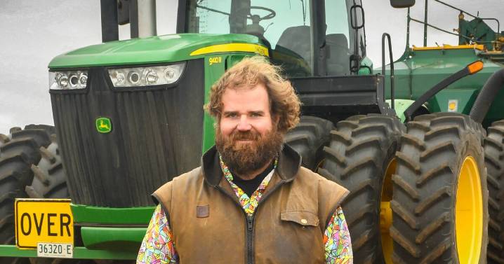 Winter crops in Riverina given hope with recent rainfall