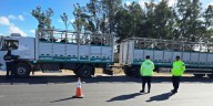 Logística bajo control: 16 mil transportes agropecuarios inspeccionados en rutas clave