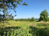 New Paltz Town Council rejects annexation of proposed apartment project