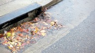 Phoenix encourages residents to help keep city waterways clean from stormwater pollution