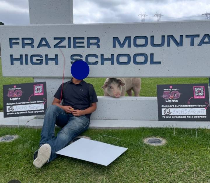 'Heinous act': FFA student's pig stabbed 17 times, put down before Kern County Fair exhibition