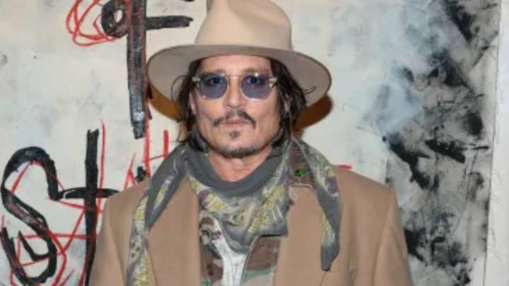 Johnny Depp's dog savaged two sheep to death after it broke free during walk near A