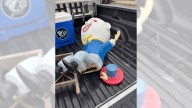 Humpty Dumpty caper at New Jersey mini-golf course sparks police investigation