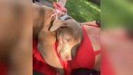 Illinois Woman Discovers A Dog With Rope Around Her Neck And Uncovers Her Painful Past