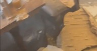 Man describes 'frightening' moment ceiling fell onto girl at Toby Carvery
