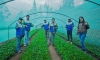 Gobierno Regional de Apurímac impulsa proyecto agro silvo pastoril en la región