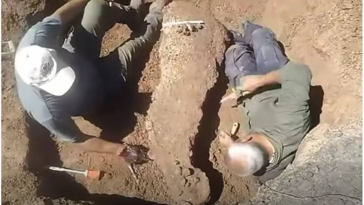 Colonia Avelina: comenzó el operativo para extraer los restos de gliptodonte