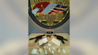 Suspect arrested in Dublin narcotics bust, jailed for numerous felonies including child endangerment