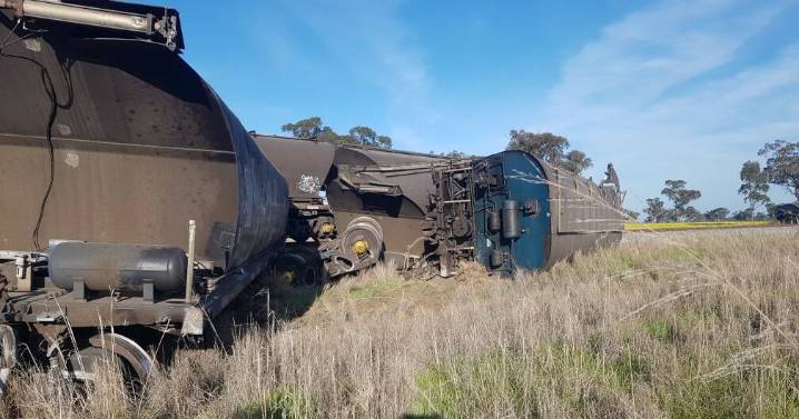 One injured and livestock dead after B-double truck and freight train crash