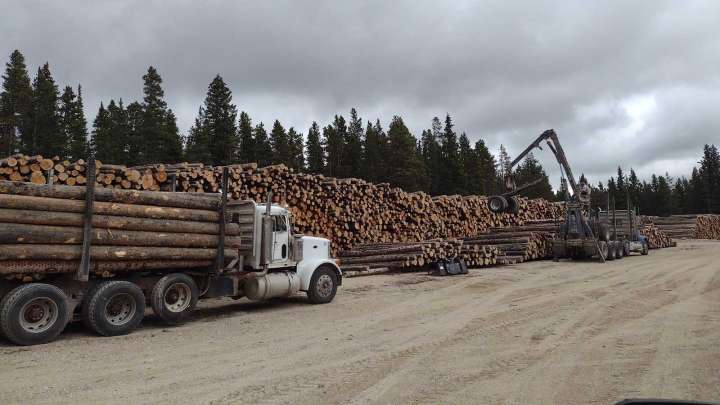 Wyoming Timber Cut While Fighting 100,000-Acre Elk Fire Won’t Go To Waste