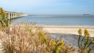Virginia leaders urged to act on Chesapeake Bay's water pollution